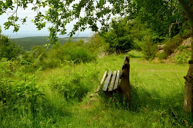 而太阳队与 而太阳队与