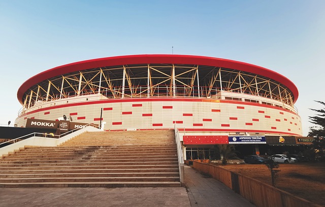 进行有效的 进行有效的