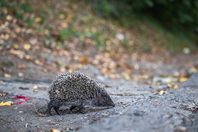 甚至影响了 甚至影响了