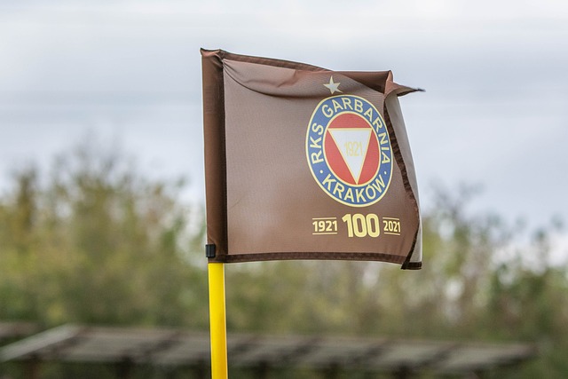 来了更多的 来了更多的