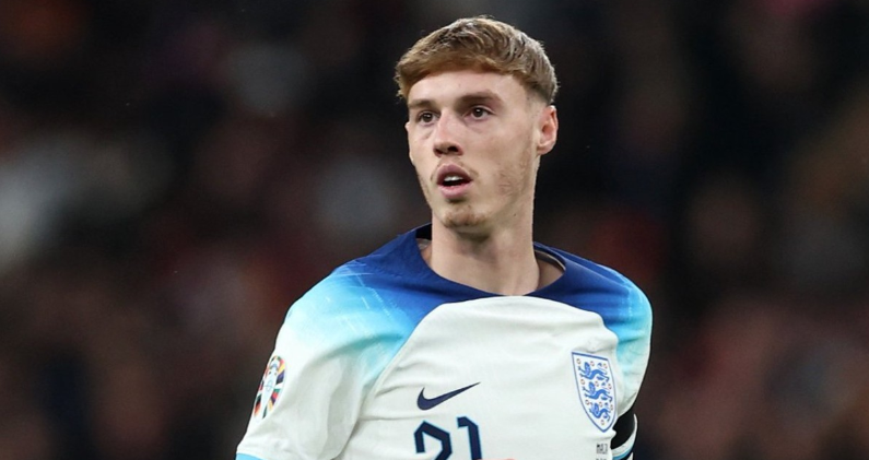 實力的補充 實力的補充